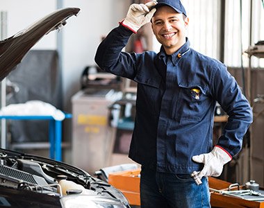 Awesome Gallery Image